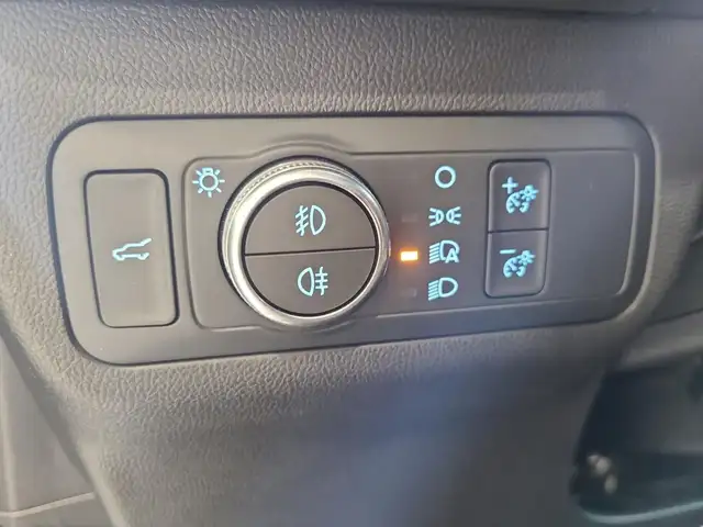 Ford Kuga view 13