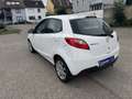Mazda 2 1.3 Edition (5-trg.) (55kW) Blanc - thumbnail 5