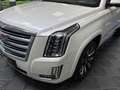 Cadillac Escalade GMT K2XL 6.2 Platinum **Deutsches Fahrzeug** Weiß - thumbnail 4
