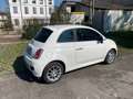 Fiat 500 500 III 1.3 mjt 16v Pop 95cv my14 Weiß - thumbnail 4