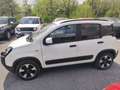 Fiat Panda Panda III 2021 Cross Panda 1.0 firefly hybrid Cro Bianco - thumbnail 8