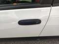 Fiat Panda Panda III 2021 Cross Panda 1.0 firefly hybrid Cro Bianco - thumbnail 9