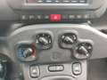 Fiat Panda Panda III 2021 Cross Panda 1.0 firefly hybrid Cro Bianco - thumbnail 18