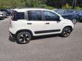Fiat Panda Panda III 2021 Cross Panda 1.0 firefly hybrid Cro Bianco - thumbnail 6