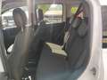 Fiat Panda Panda III 2021 Cross Panda 1.0 firefly hybrid Cro Bianco - thumbnail 12