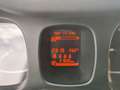Fiat Panda Panda III 2021 Cross Panda 1.0 firefly hybrid Cro Bianco - thumbnail 16