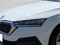 Skoda Octavia Active TSI Weiß - thumbnail 7