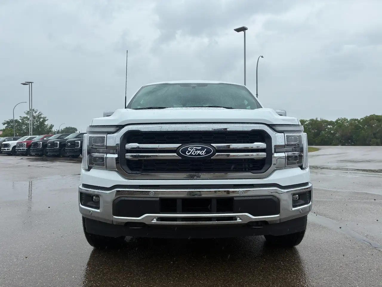 Ford F 150 fotografie Ford F 150