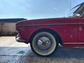 Fiat Other 1600 S Cabriolet OSCA (unica in Italia) Rouge - thumbnail 18