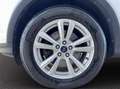 Ford Kuga 1.5 tdci Titanium s&s 2wd 120cv powershift Argento - thumbnail 15