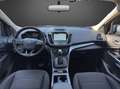 Ford Kuga 1.5 tdci Titanium s&s 2wd 120cv powershift Argento - thumbnail 5