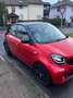 smart forFour passion Rot - thumbnail 7