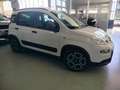 Fiat Panda 1.0 FireFly S&S Hybrid City Life PROMO Bianco - thumbnail 8