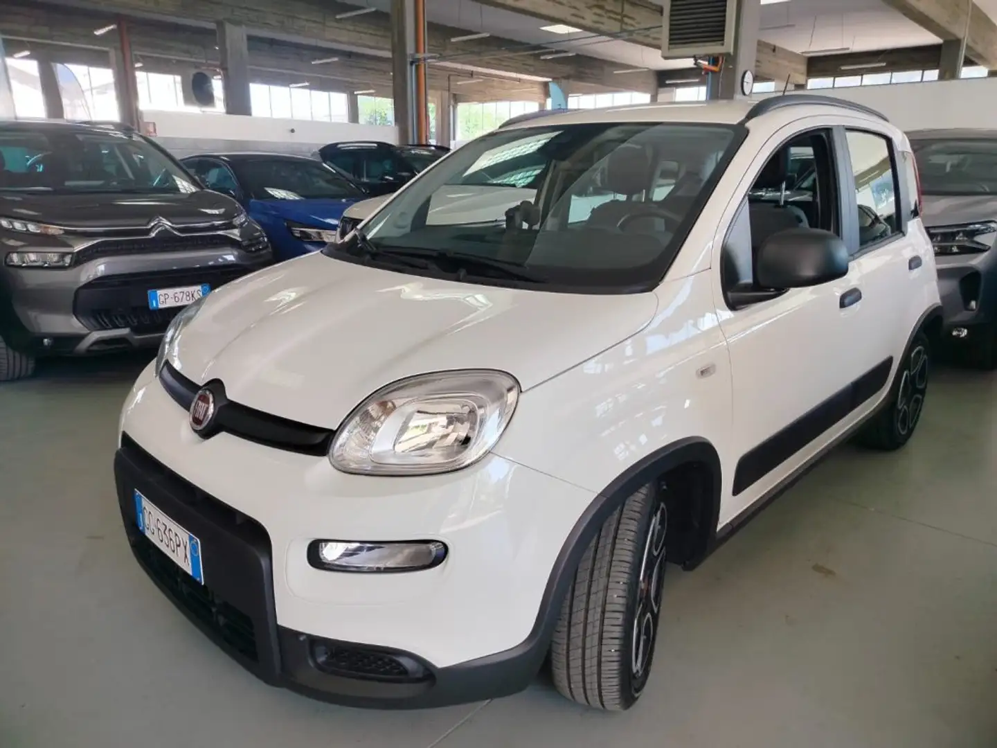 Fiat Panda 1.0 FireFly S&S Hybrid City Life PROMO Bianco - 1