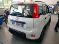 Fiat Panda 1.0 FireFly S&S Hybrid City Life PROMO Bianco - thumbnail 10