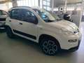 Fiat Panda 1.0 FireFly S&S Hybrid City Life PROMO Bianco - thumbnail 7