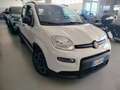 Fiat Panda 1.0 FireFly S&S Hybrid City Life PROMO Bianco - thumbnail 4