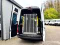 Mercedes-Benz Sprinter III Tourer Sondermodell Professional Bianco - thumbnail 4
