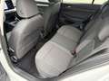 Volkswagen Golf 1.5 TSI 85 kW Life Garantie Weiß - thumbnail 26