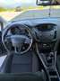 Ford Focus 1.5TDCi Business 120 - thumbnail 9