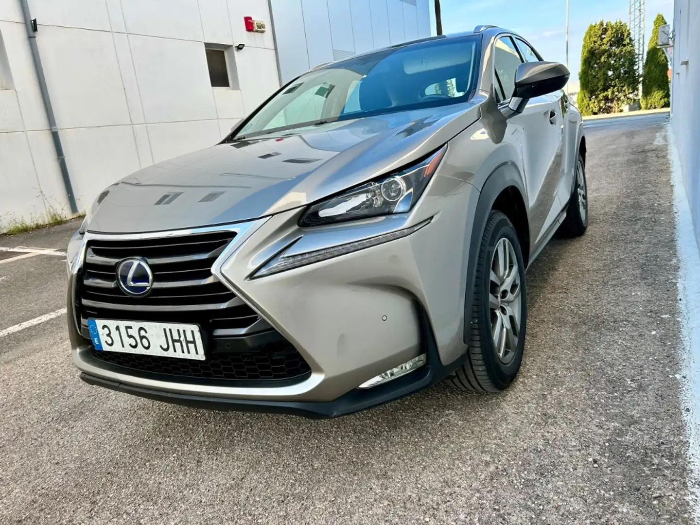 Lexus NX 300 300h F Luxury 4WD Gris - 1
