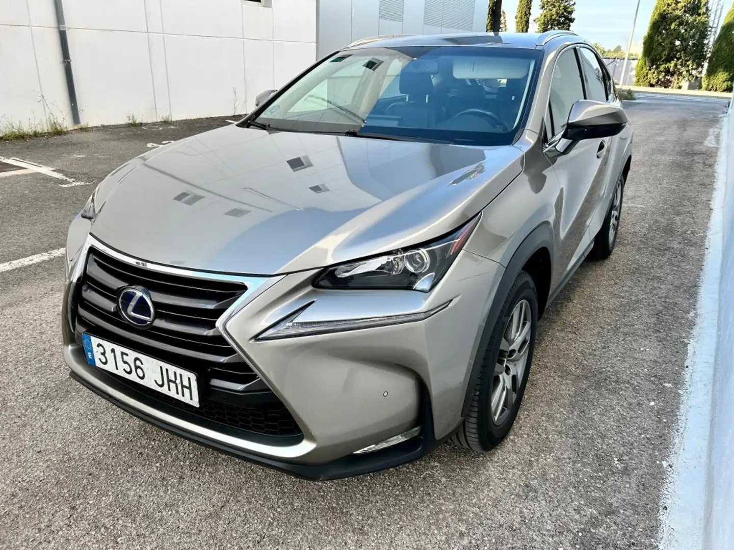 Lexus NX 300 300h F Luxury 4WD Gris - 2