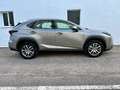 Lexus NX 300 300h F Luxury 4WD Gris - thumbnail 4