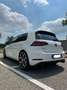 Volkswagen Golf GTI 5p 2.0 tsi Performance 245cv - thumbnail 6