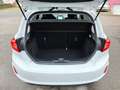 Ford Fiesta Titanium AUTOMATIK *ACC*NAV*PDC*KLIM*WINP Weiß - thumbnail 8