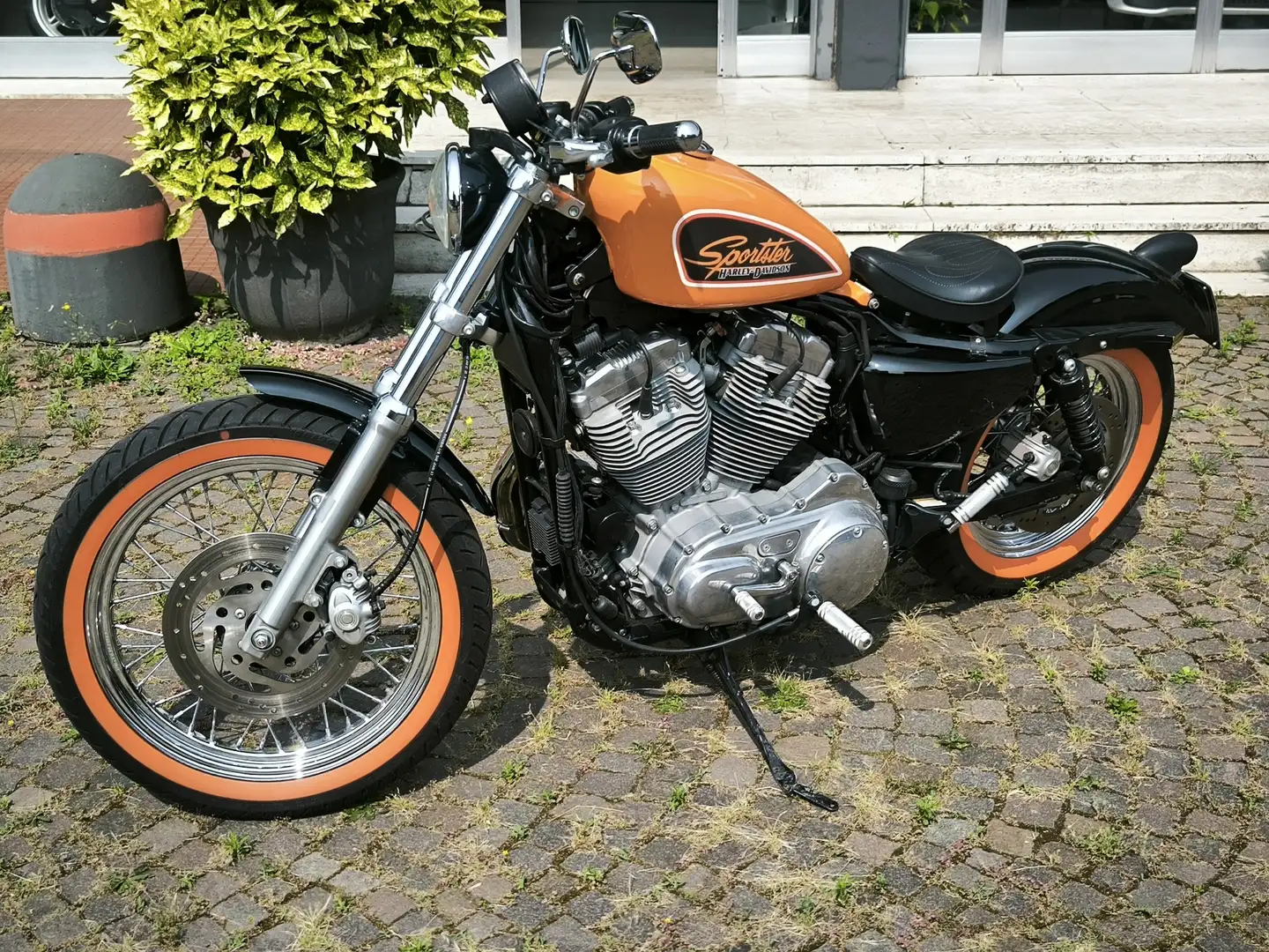 Harley-Davidson Sportster XL 883 Oranžová - 2