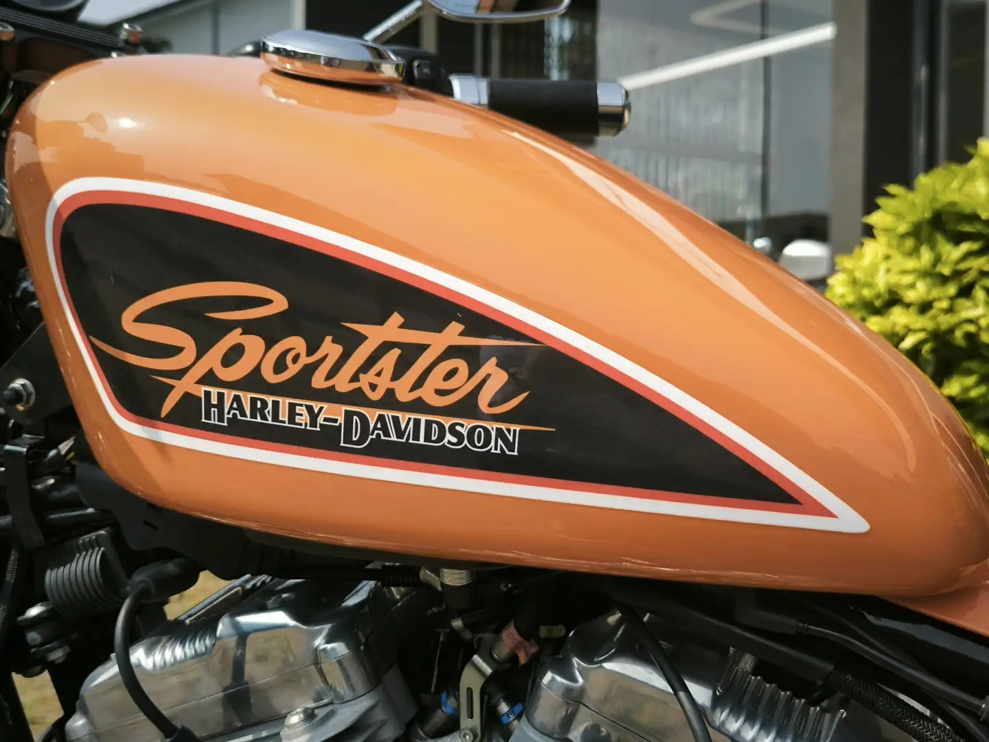 Harley-Davidson Sportster XL 883 Pomarańczowy - 1