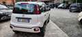 Fiat Panda 0.9 t.air t. City Cross s&s 85cv Blanc - thumbnail 8