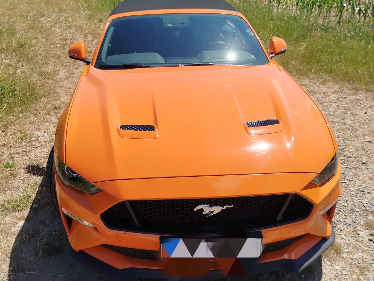 Ford Mustang Mustang Convertible 5.0 Ti-VCT V8 Aut. GT Orange - 1