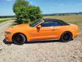 Ford Mustang Mustang Convertible 5.0 Ti-VCT V8 Aut. GT Orange - thumbnail 5