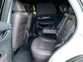 Mazda CX-5 2,2 D AWD SPORTS-LINE 360KAMERA-AHK-LED-ACC Weiß - thumbnail 14