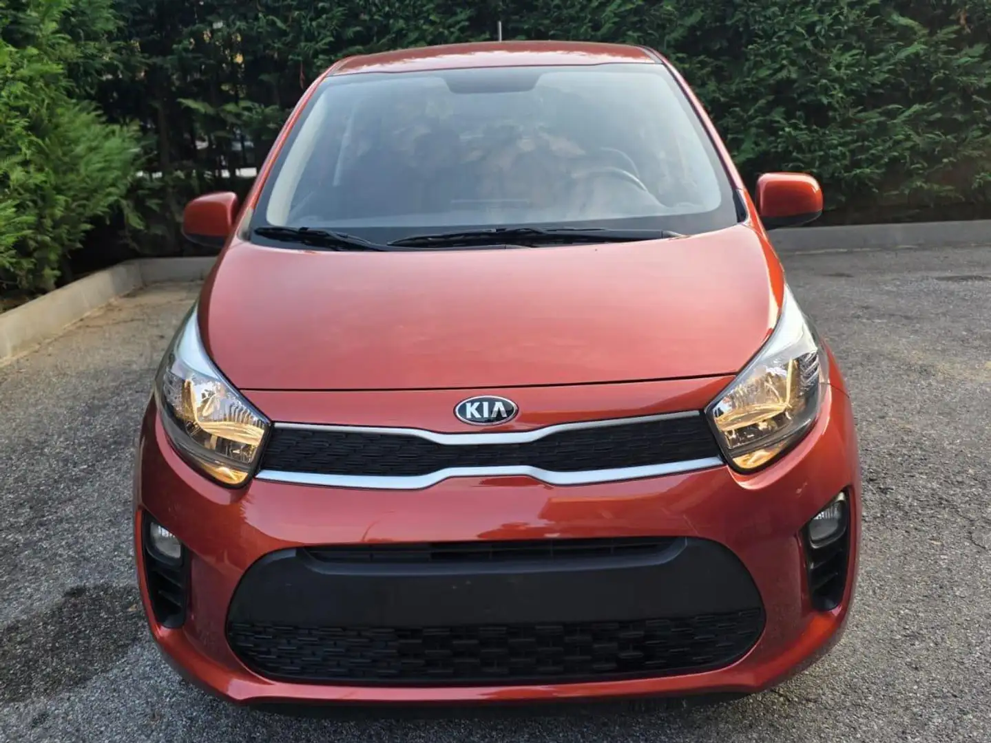 Kia Picanto Picanto 1.0 dpi X Line amt Rosso - 1