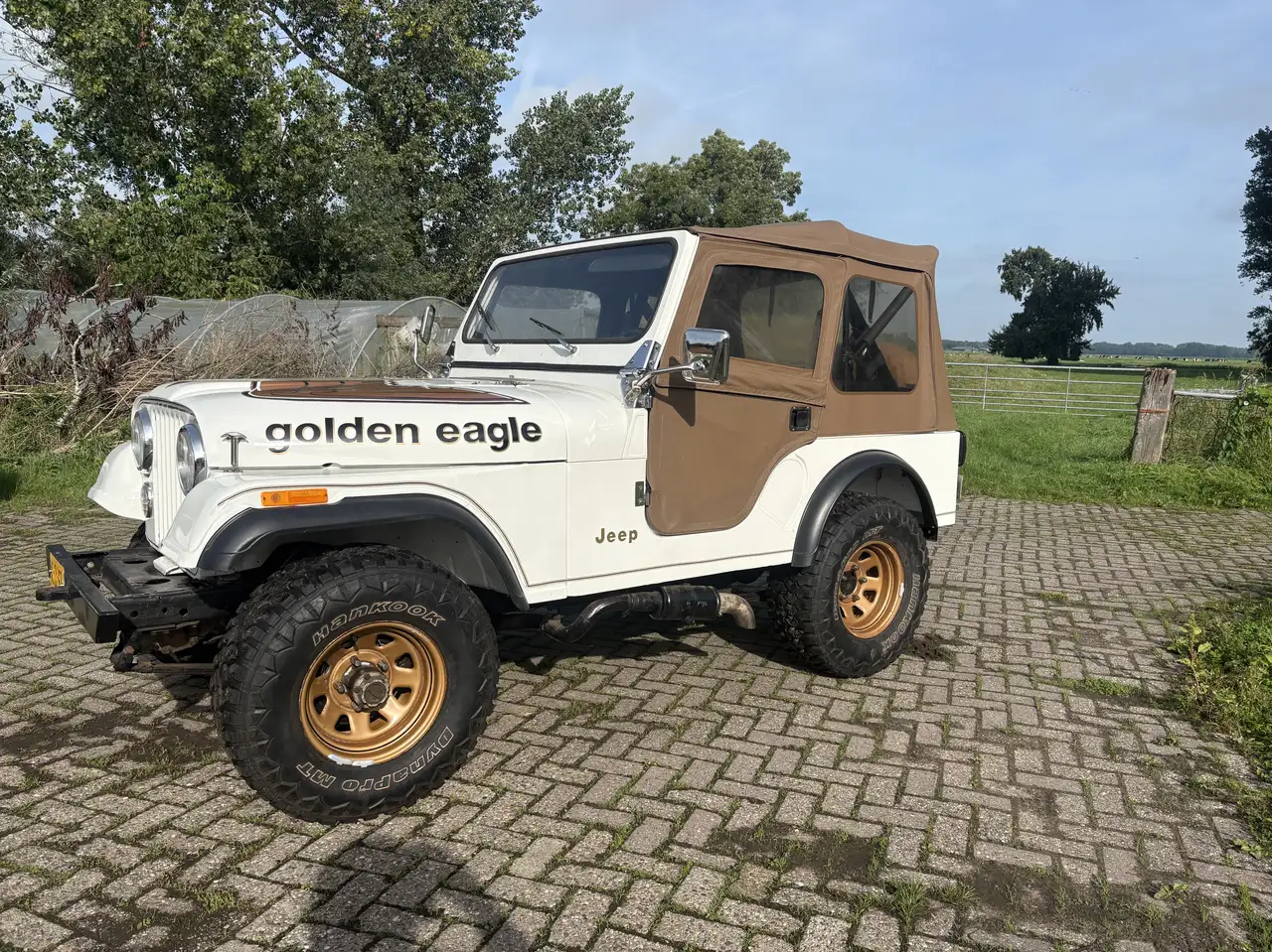 Jeep CJ-5 Golden Eagle V8 4 Speed 1979, foto 2