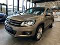 Volkswagen Tiguan Cup Sport & Style BMT 4Motion*AHK*Xenon* Beige - thumbnail 48