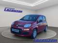 Fiat Panda Mild Hybrid 1.0 70PS Klima DAB Spurhalteass. Verke Rood - thumbnail 1