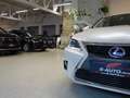 Lexus CT 200h *HYBRID *136PS *ERSTBESITZ *GARANTIE Privilege Blanc - thumbnail 3