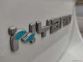Fiat Panda Cross 1.0 FireFly S&S Hybrid Bianco - thumbnail 10