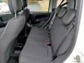 Fiat Panda Cross 1.0 FireFly S&S Hybrid Bianco - thumbnail 12