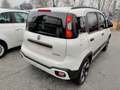 Fiat Panda Cross 1.0 FireFly S&S Hybrid Bianco - thumbnail 5