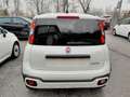 Fiat Panda Cross 1.0 FireFly S&S Hybrid Bianco - thumbnail 6