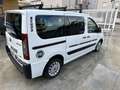 Fiat Scudo Fiat Scudo 2.0 136cv 9 posti Bianco - thumbnail 7
