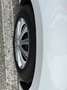 Toyota Yaris 1.000CC 72cv active promo freedom finanziaria Wit - thumbnail 5