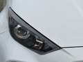 Toyota Yaris 1.000CC 72cv active promo freedom finanziaria Wit - thumbnail 3