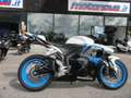 Honda CBR 600 CBE 600 RR LIMITED EDITION Bianco - thumbnail 1
