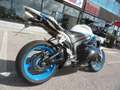 Honda CBR 600 CBE 600 RR LIMITED EDITION Bianco - thumbnail 9