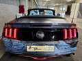 Ford Mustang 2.3 ECOBOOST CABRIO EUROPA COC GULF AUTO CUIR NAVI Orange - thumbnail 6